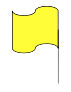yellow-flag1