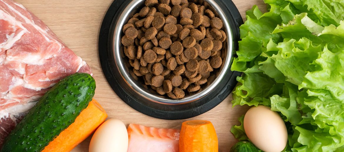 Kibble and Whole Foods