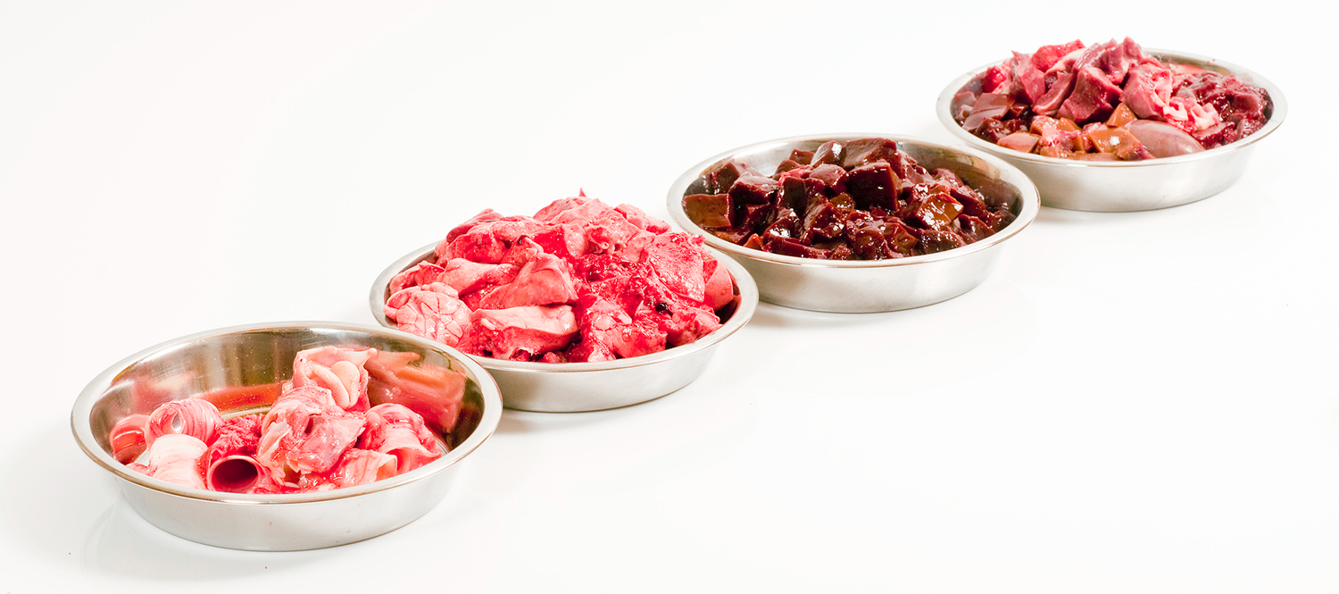 Raw Food in Bowls for Dogs & Cats